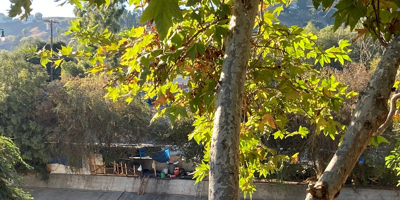 A Few Notes on the Los Angeles-Model Favela