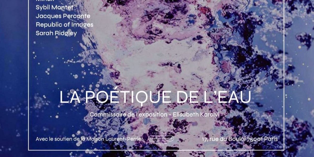 #697 | L'exposition "La Poétique de l'Eau" + Photo avec Obscura DAO