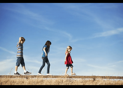 Birth Order Effects Needn't Be Biological