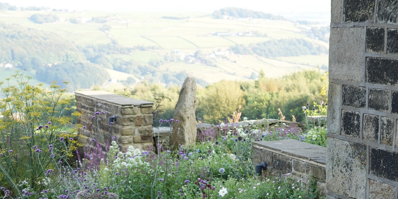Shade loving flowers for pollinators