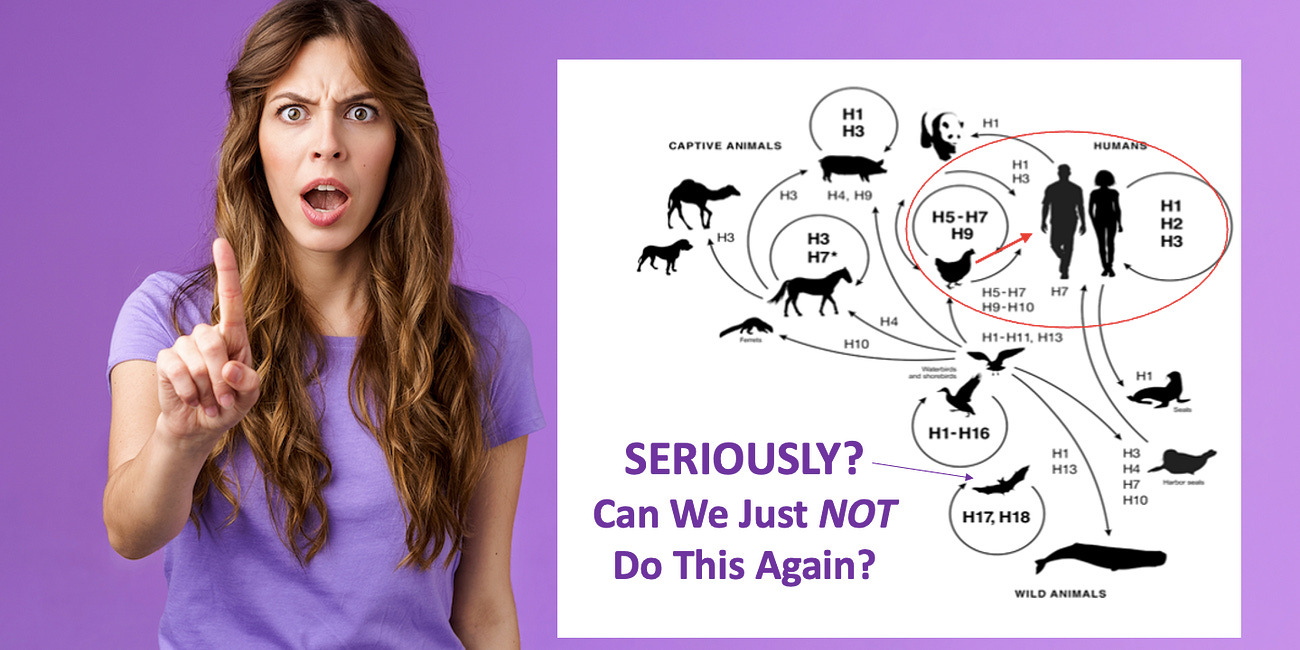 The Good & Bad News About the WHO's 2024-25 H5N1 Panic-Pandemic