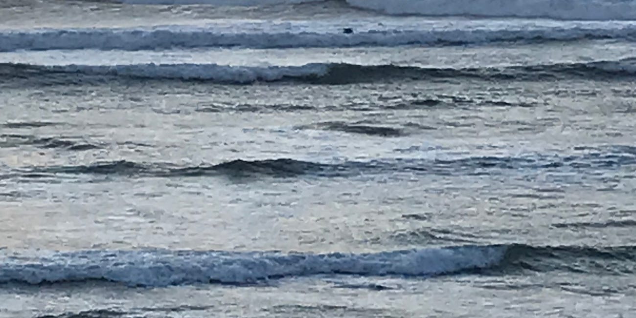 Finding buoyancy in rough seas