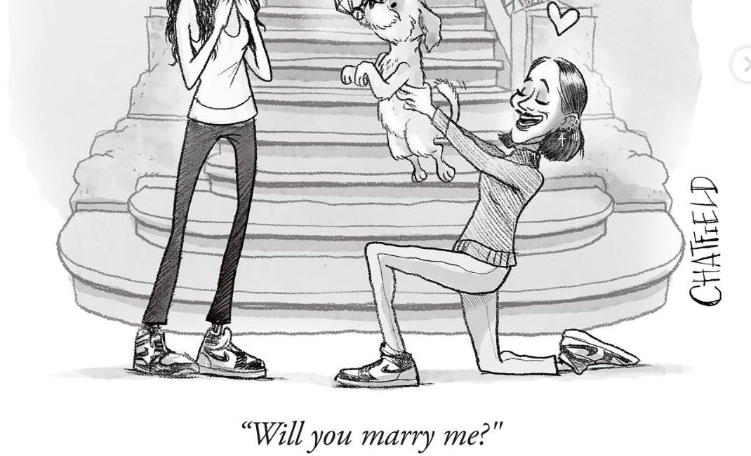 Nothing says "Will You Marry Me?" like a cartoon that says "Will You Marry Me?"