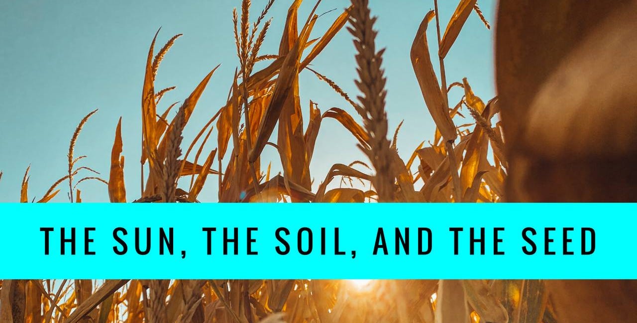 The Sun, The Soil, and The Seed