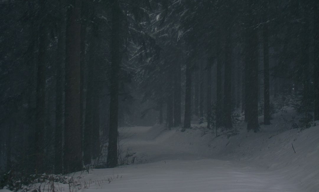 Mpox, Project Bioshield, Everyone's Dark Winter?