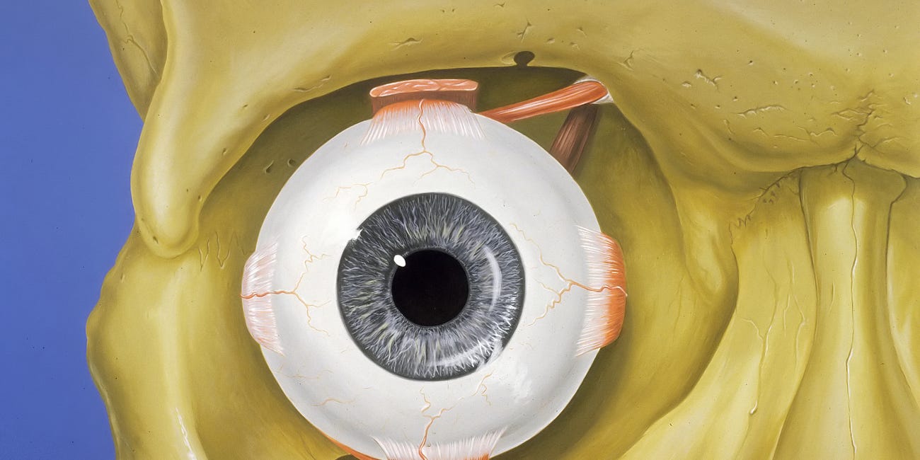 The Veil of Perception for Direct Realists