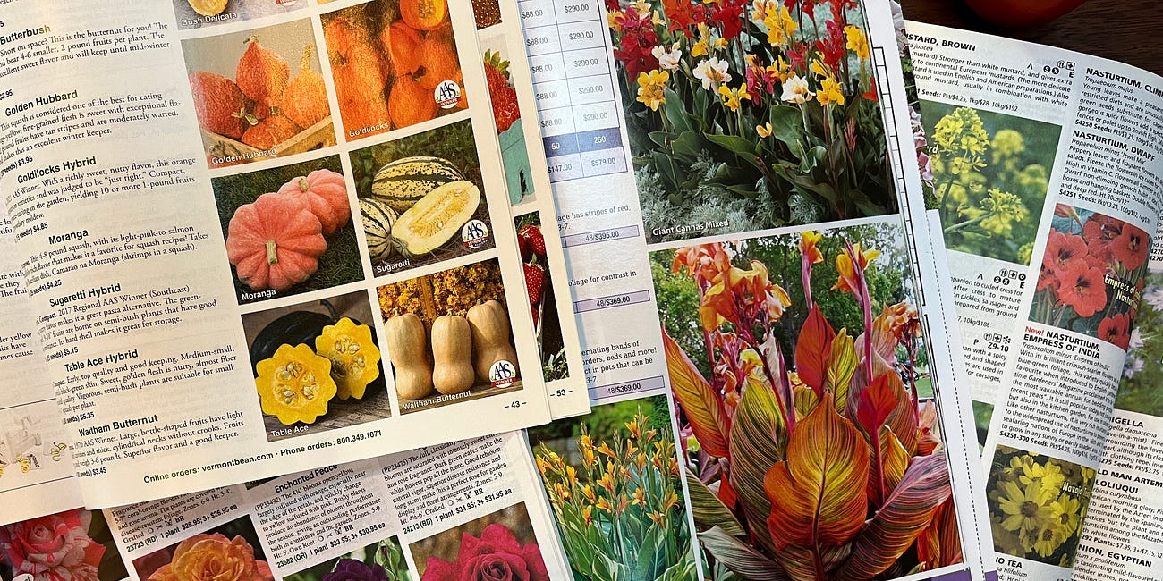 Floraporn & foodporn 
