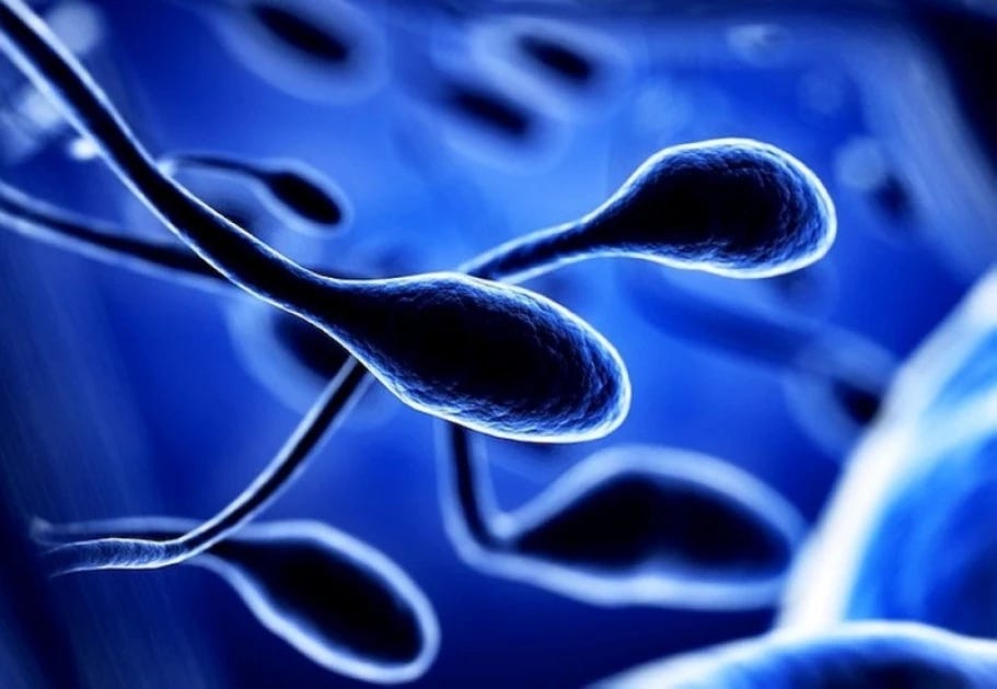 SPERMICIDE - The Devastating Effect of the "Safe & Effective" on Virility & Fertility