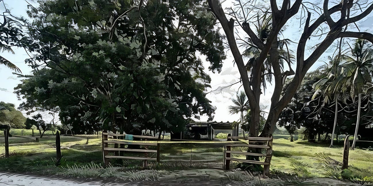 Descubren cuatro narcofosas en rancho "El Manantial" en Macuspana, Tabasco