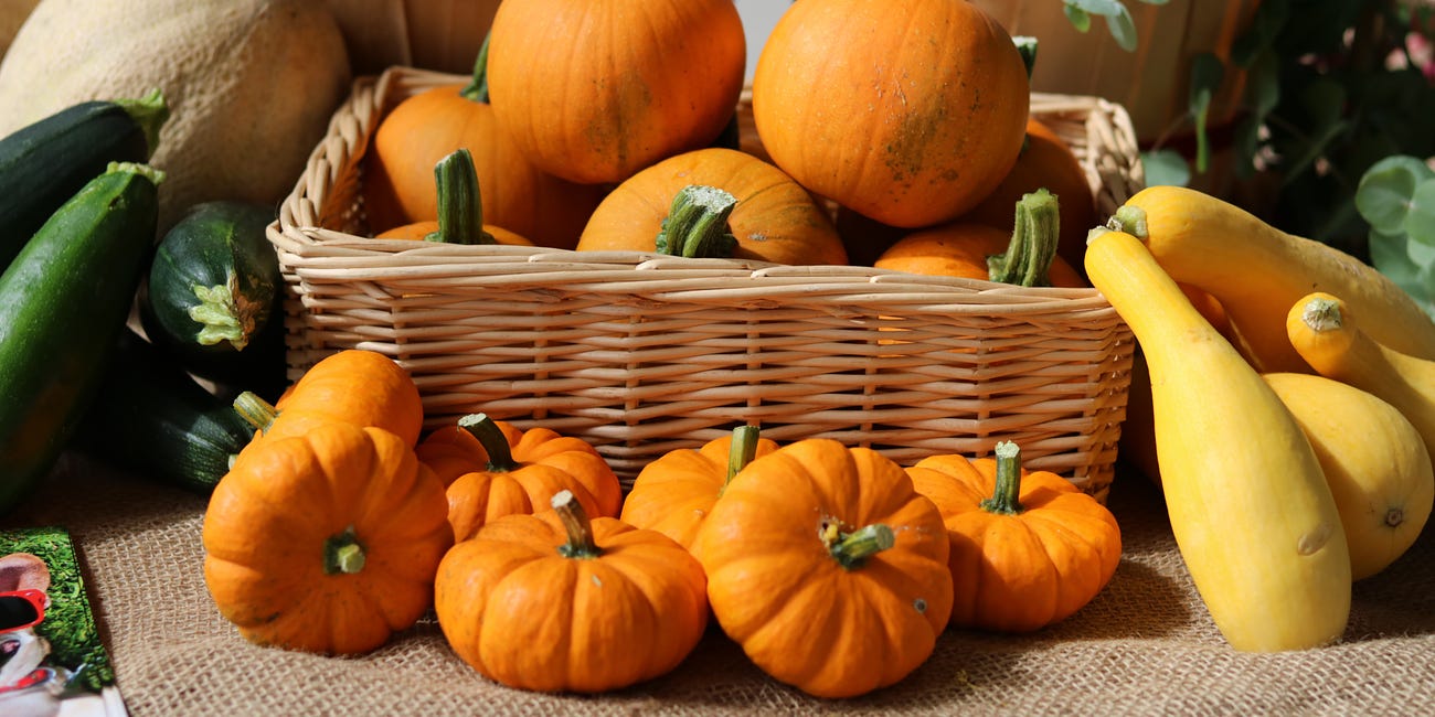 Table Talk: Pumpkins on our Potluck Plates