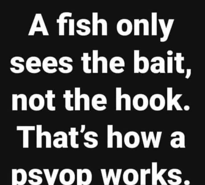 MEME DROP #316: A Fish Only Sees The Bait, Not The Hook. 
