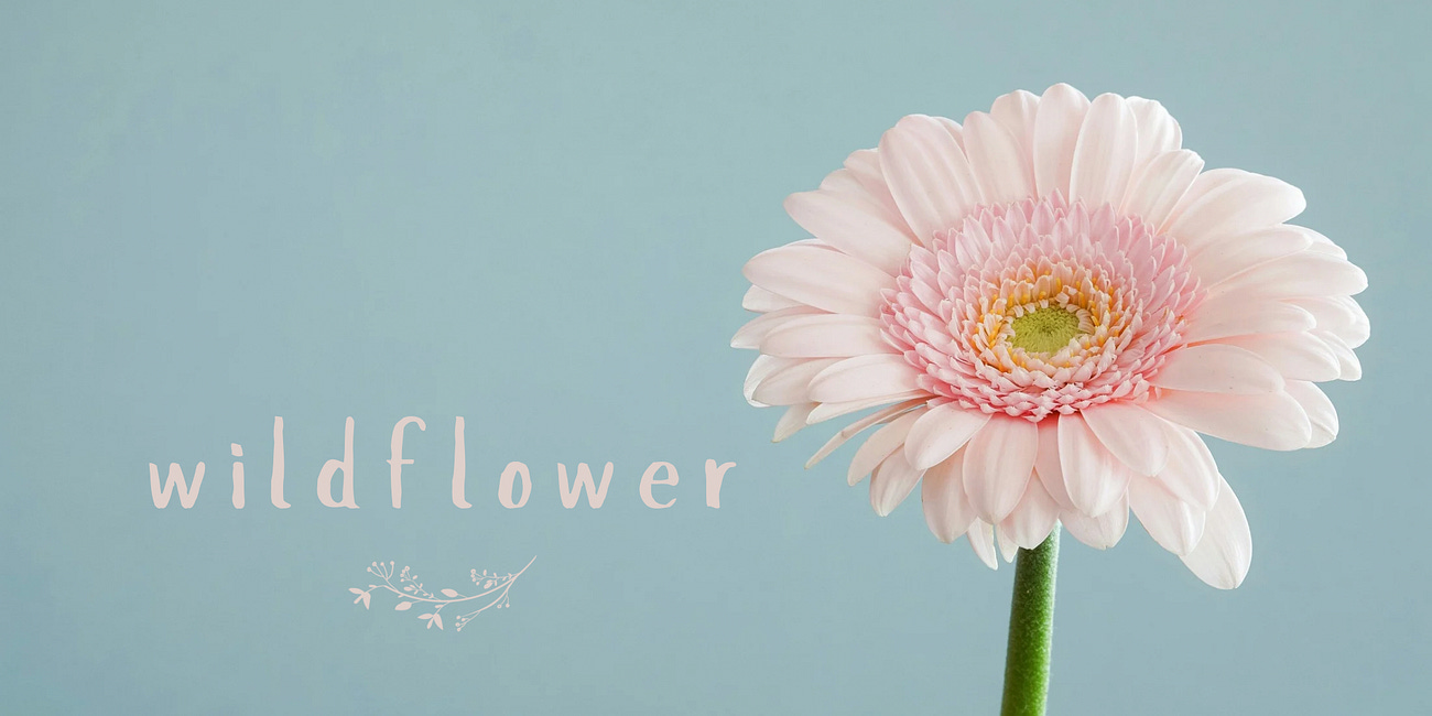 Wildflower