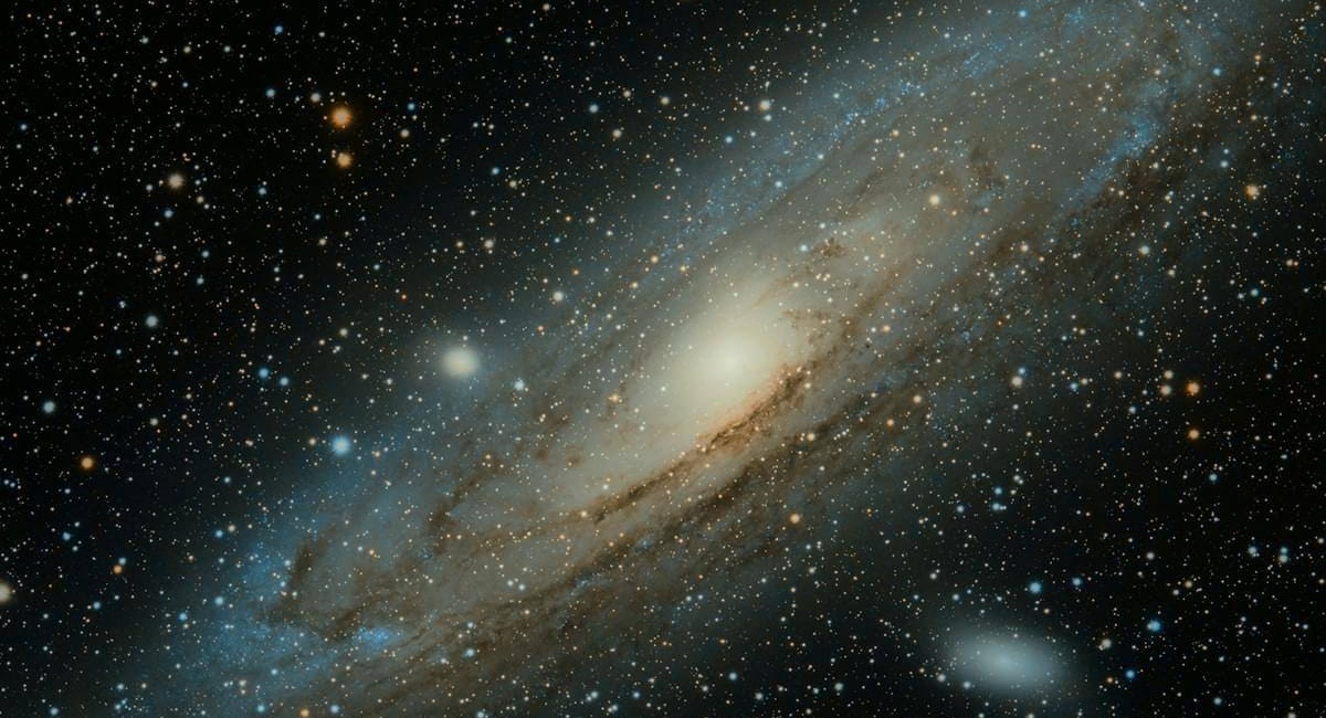 You Are Here For Cosmic Connected Love