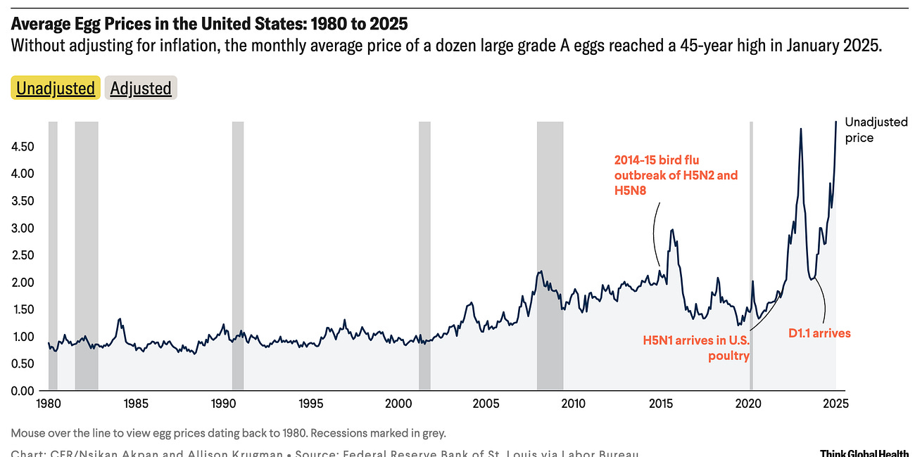 USDA Has Spent $1.25 Billion on Mass Culling for H5N1 Bird Flu—With Disastrous Consequences