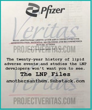 The alarming LNP history you haven't been shown- The LNP developer's own studies dating back 20 yrs: Part 1 of 10, Introduction and Executive Brief sent to lawmakers & state investigators this summer.