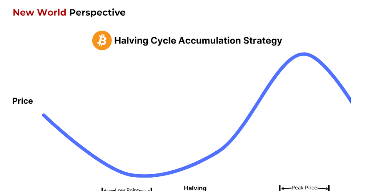 Bitcoin Accumulation Strategy