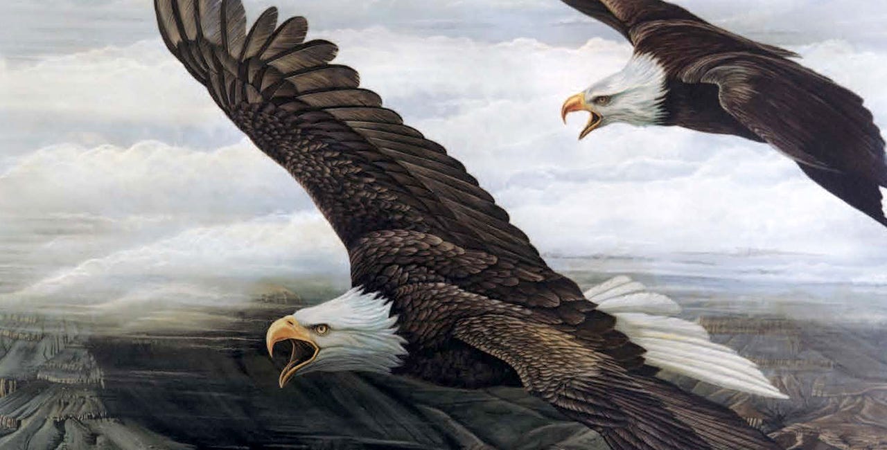 A Dearth of Eagles, by Andrew Bernstein
