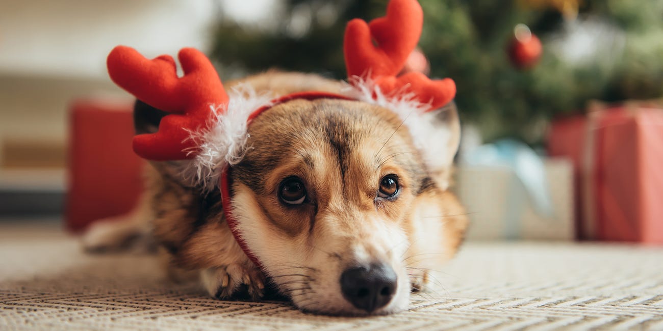 All About Holiday Pancreatitis