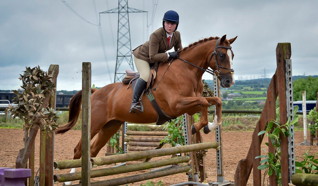 Wonderful turnout for Six Mile Water Working Hunter