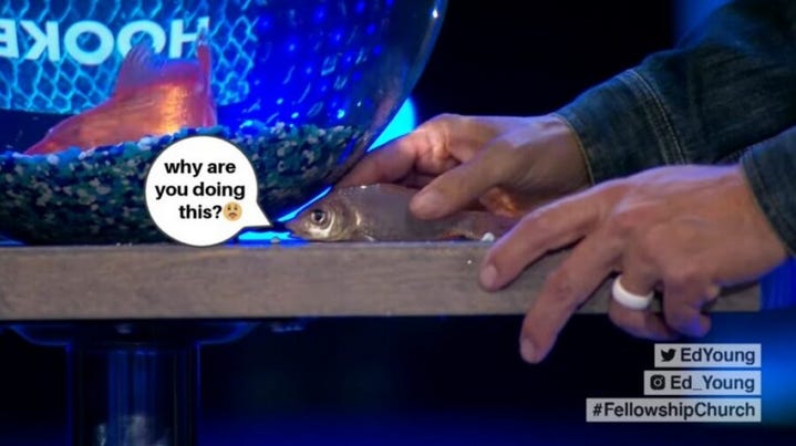 Megachurch Pastor Ed Young Tortures Goldfish for ‘Edgy’ Sermon Illustration