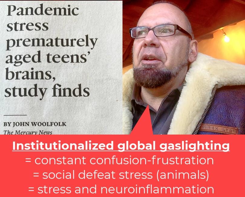 WEEKEND VIDEO Integrated Explanation of Institutionalized Gaslighting, Social Defeat Stress, Plandemonium, Climate Scam, Water Shortage, Neuroinflammation, Brain Damage and Collapse of Western Society