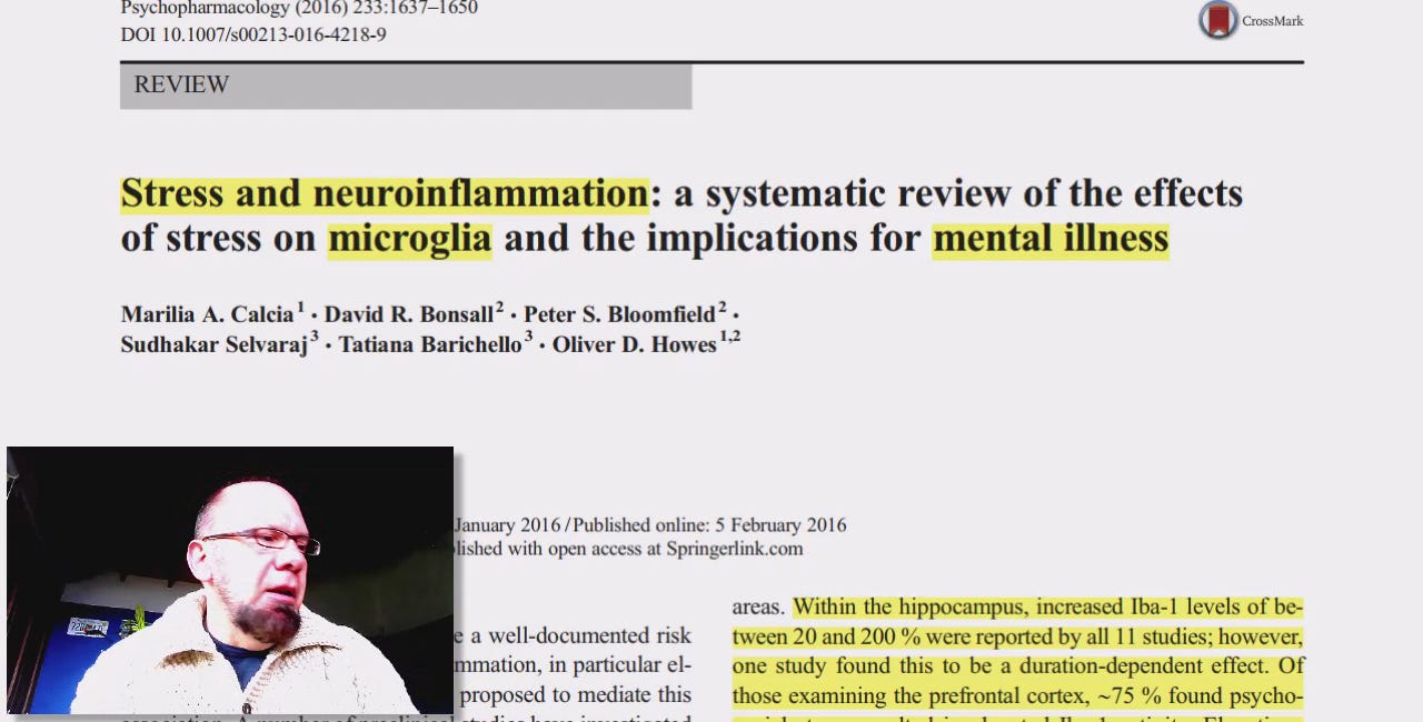 [Improved VIDEO+Audio] PSYCHOSOCIAL STRESS causes NEUROINFLAMMATION (2) Plandemic Gaslighting