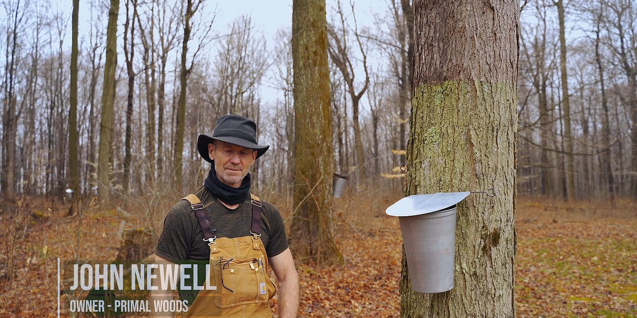 How Primal Woods Pure Maple Syrup Is Made