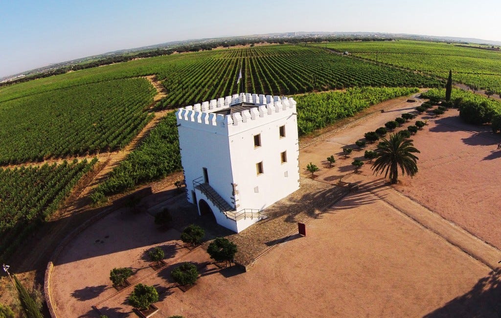 Episode 2: Deep in Alentejo Wine Country