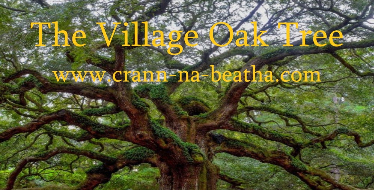 The Village Oak Tree