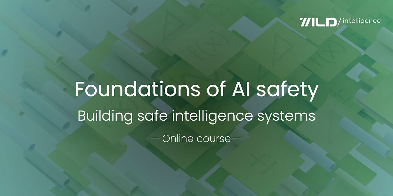 Foundations of AI safety | Episode 9, The Wild Pod