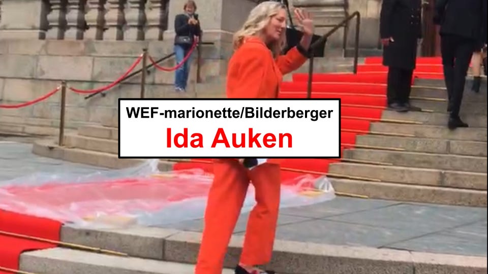 Interviewing Danish politician, Bilderberg-babe and WEF-marionette Ida Auken