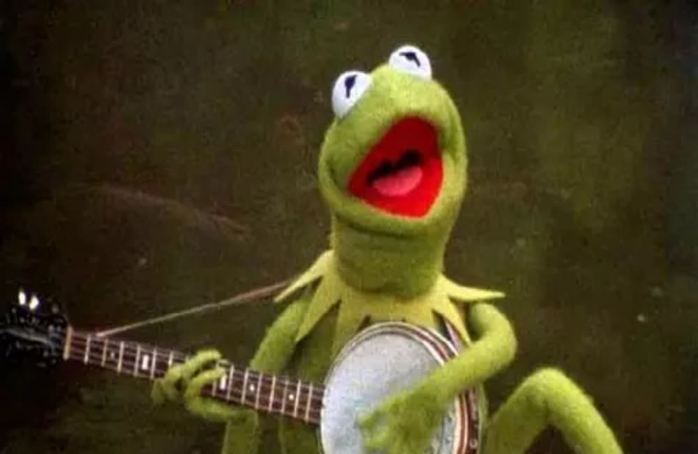The parable of, "Kermit discovers the theory of everything (TOE)"