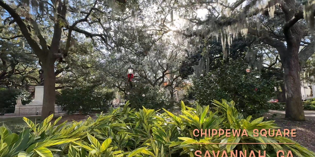Oh, Savannah!