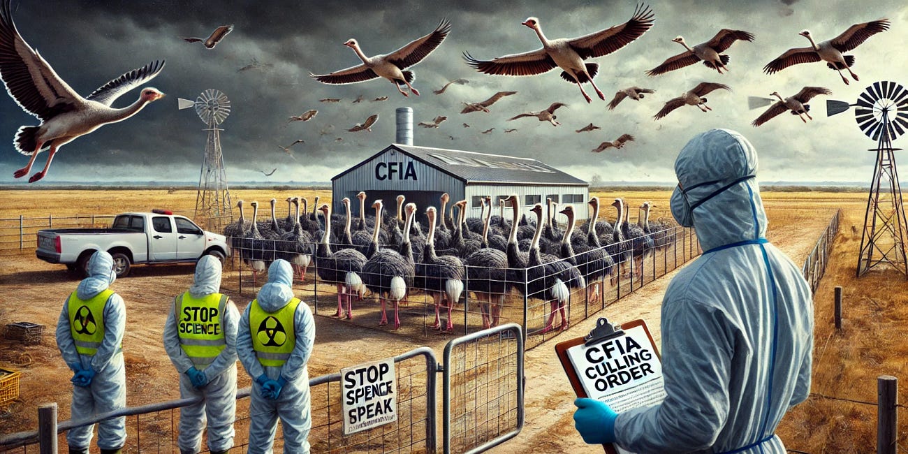 Canada Orders Mass Culling of 400 Research Ostriches Over Bird Flu, Refuses to Test Surviving Birds for Natural Immunity