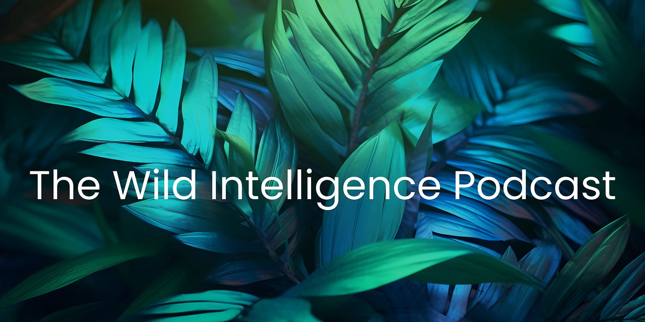 AI agents emerge; Google, OpenAI, Apple, Microsoft advance AI