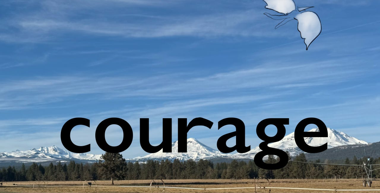 2Birds and the Sense of Courage