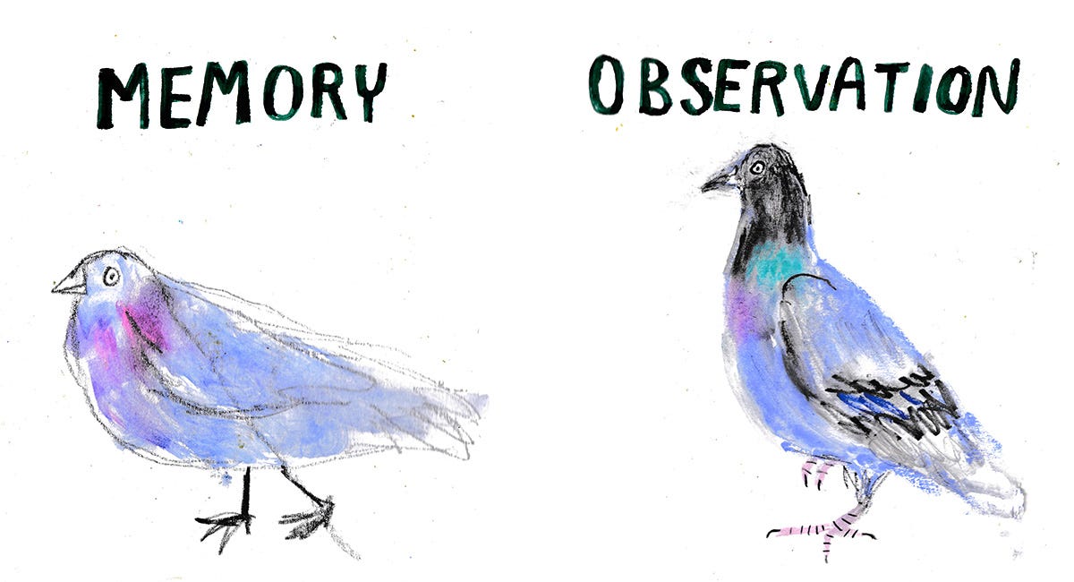 Memory Drawing vs. Observational Drawing