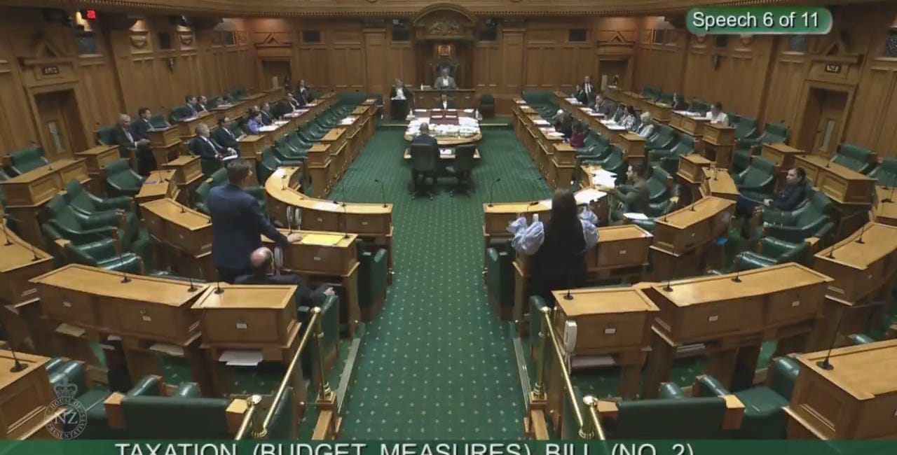 Te Pāti Māori’s vile racism stains parliament once again 