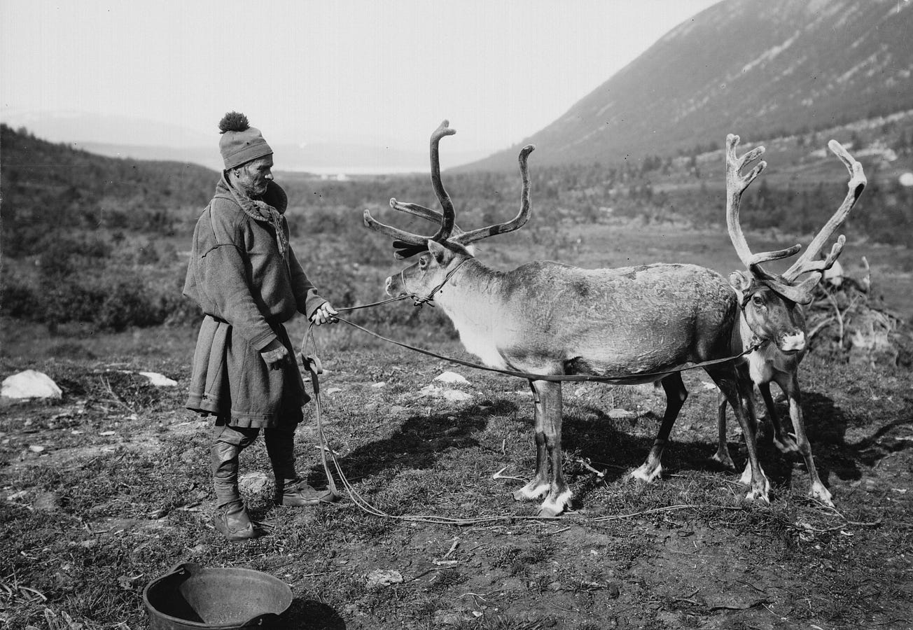 Was Santa Actually a Mushroom-Tripping Reindeer Herder?
