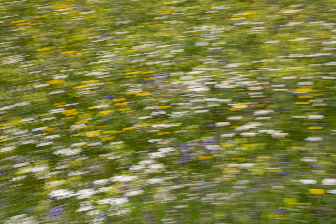 Real Life Does Not Fit The Narrative