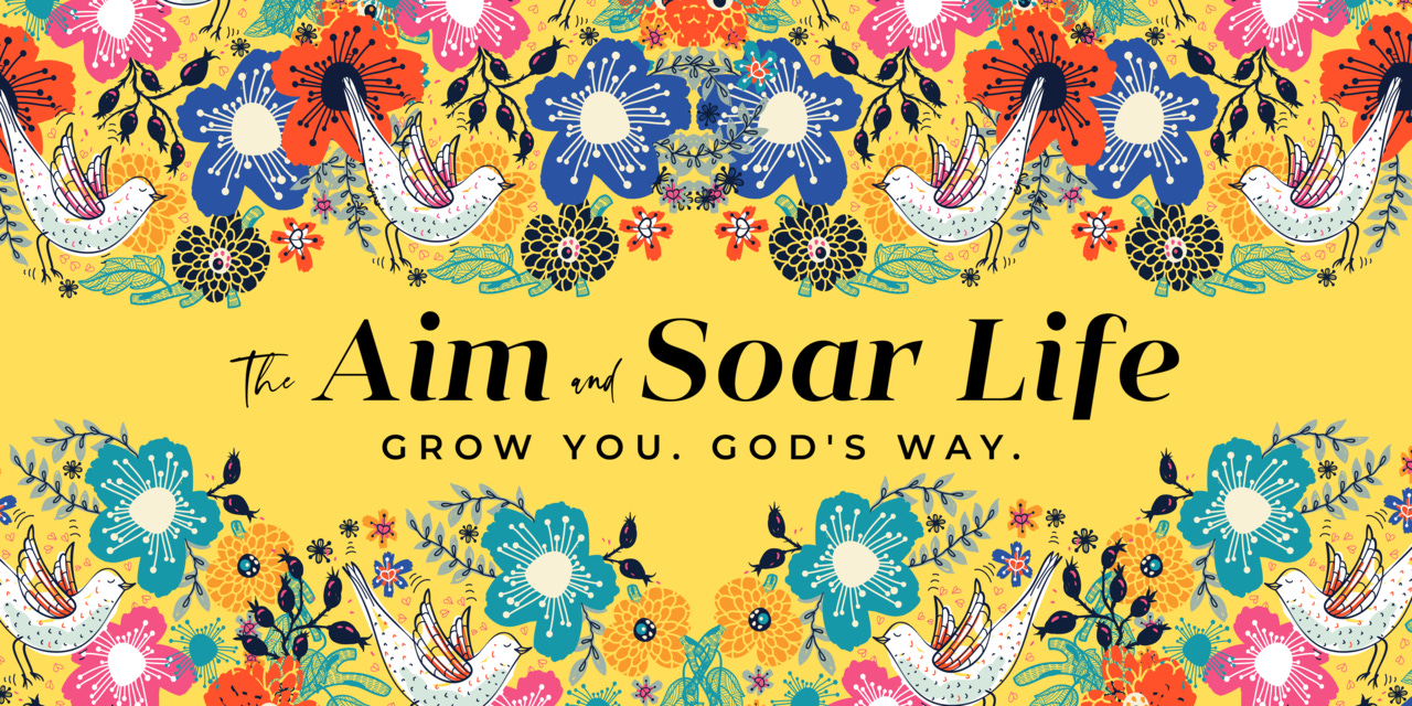 The Aim and Soar Life