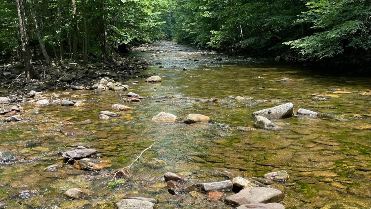 Dispatches from a Trout Wrangler