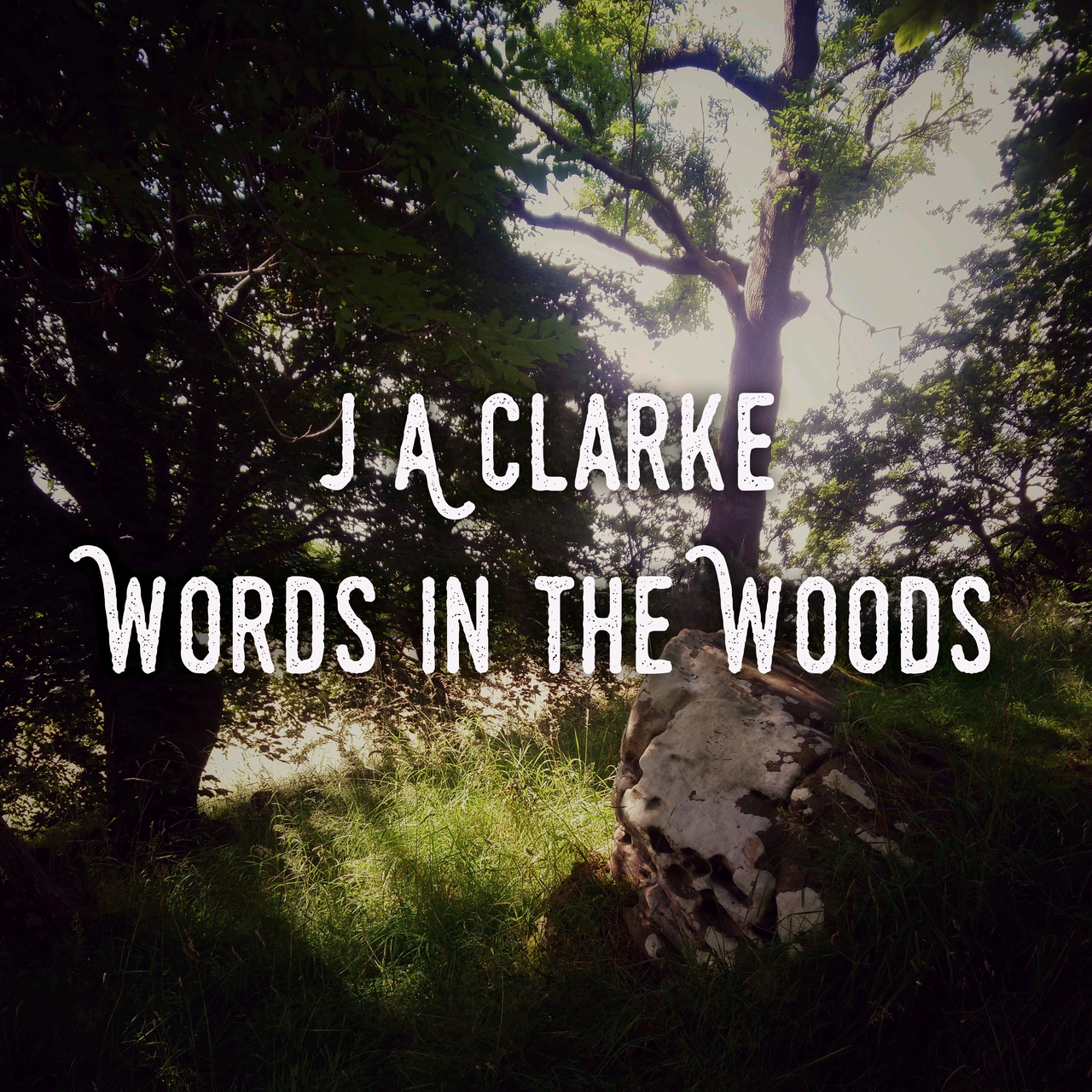 Words in the Woods