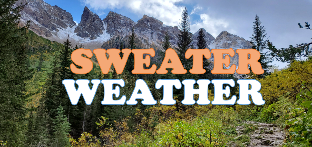 Sweater Weather: The Newsletter