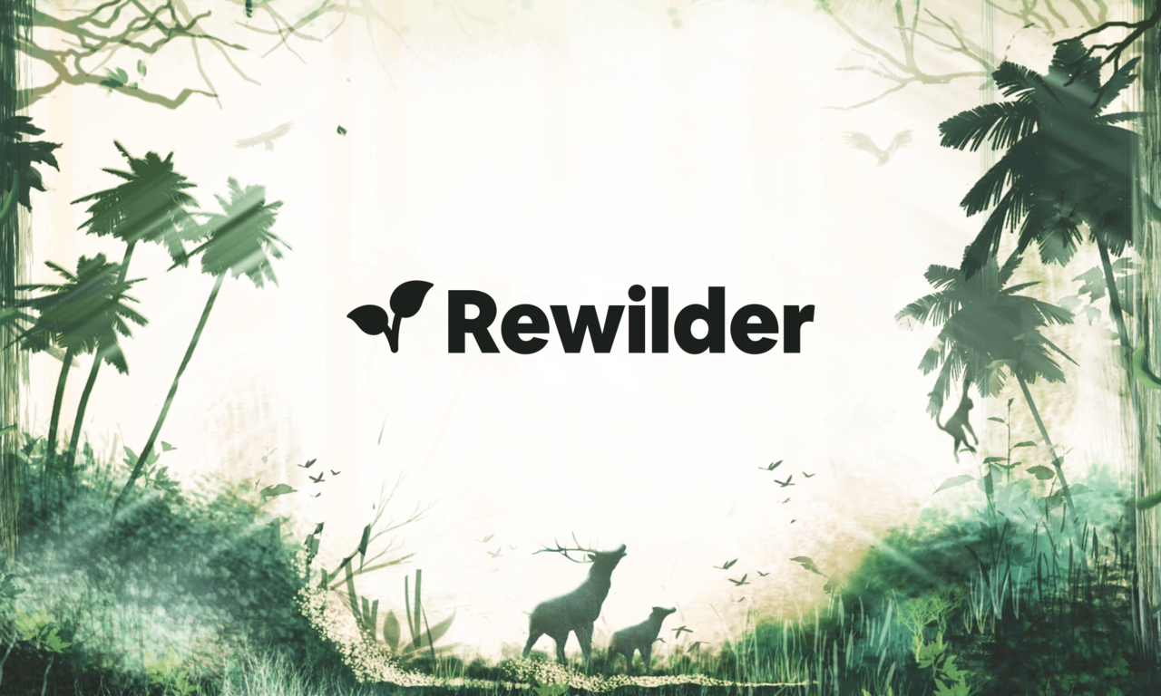 Rewilder Newsletter