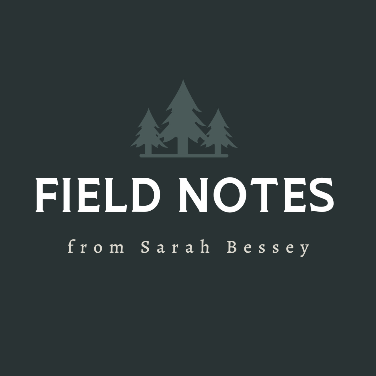 Sarah Bessey's Field Notes