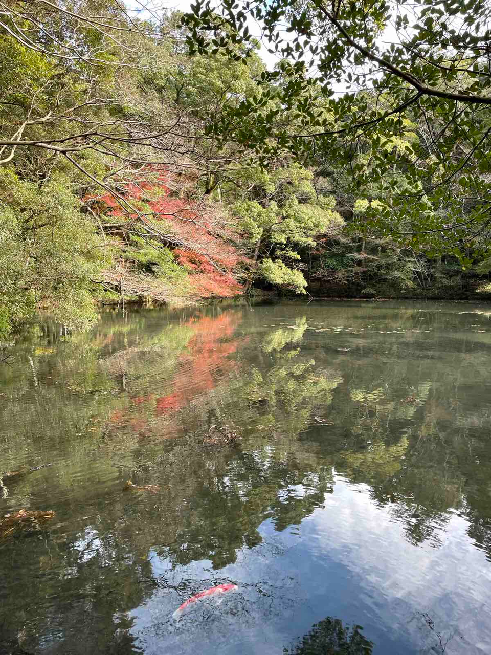 Calm