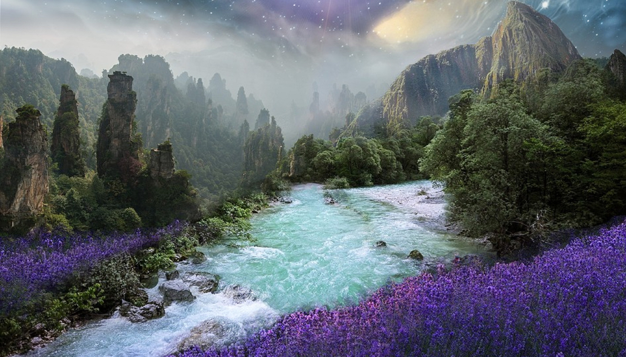 Lavender Lass Books - Newsletter