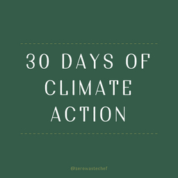 30 Days of Climate Action