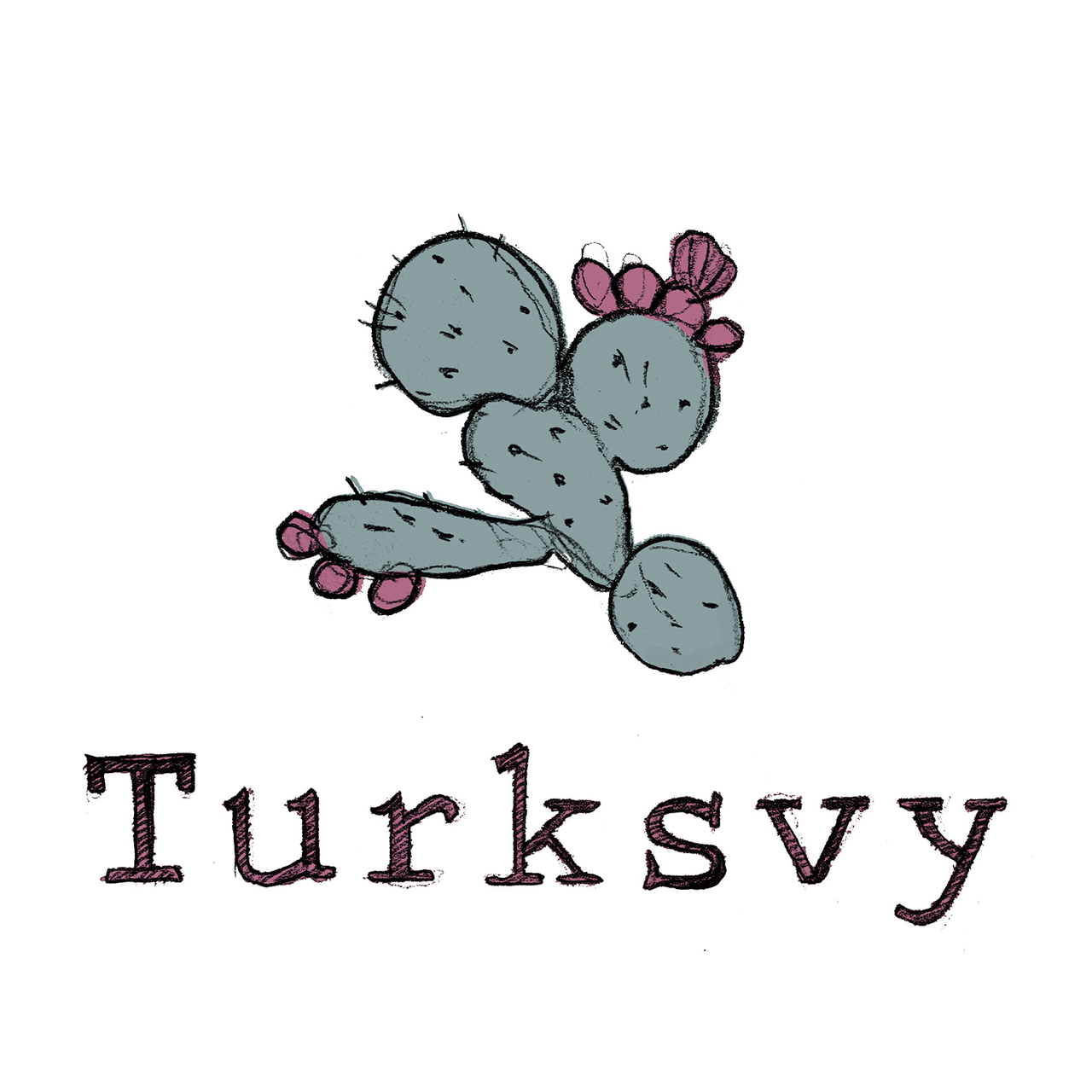 Turksvy